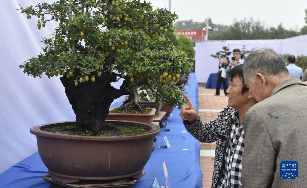 新太阳城入口